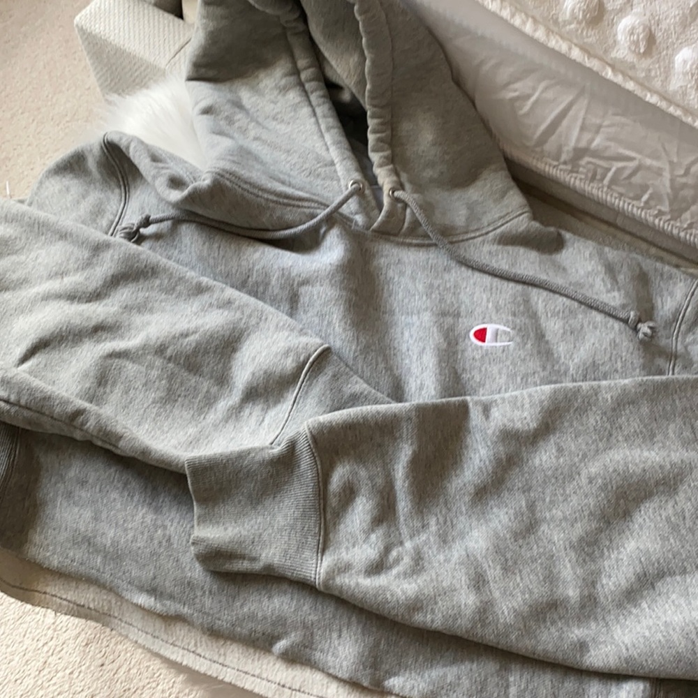 champion cropped hoodie size small